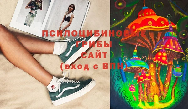 ГАЛЛЮЦИНОГЕННЫЕ ГРИБЫ Беломорск