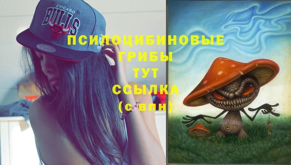 а пвп мука Богородицк