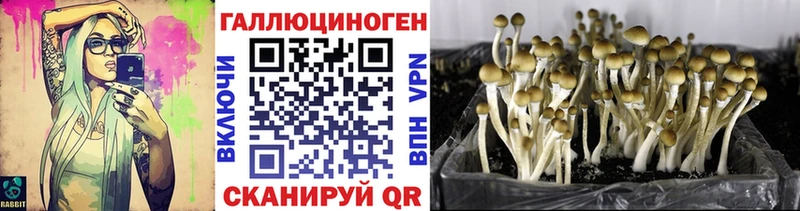 Галлюциногенные грибы ЛСД  Каменка 